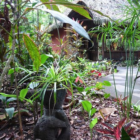 Korrigan Lodge Cahuita Kültér fotó