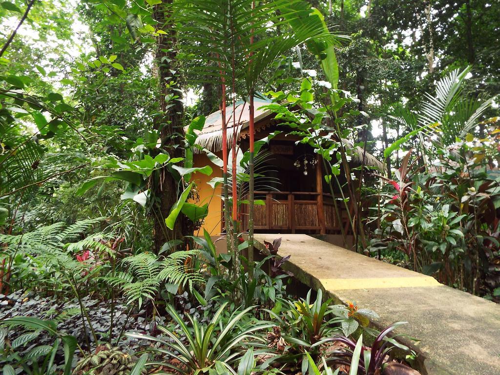 Korrigan Lodge Cahuita Szoba fotó