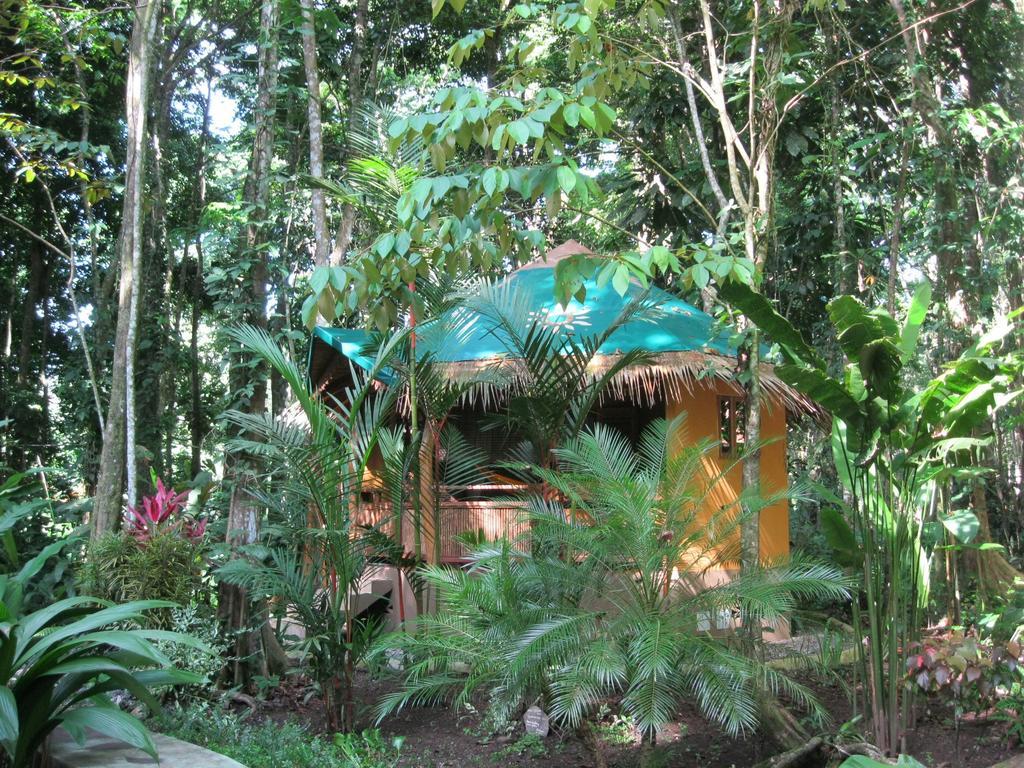 Korrigan Lodge Cahuita Szoba fotó