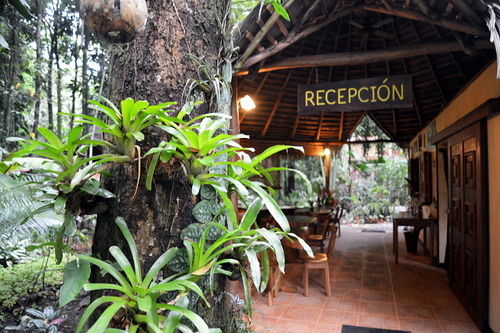 Korrigan Lodge Cahuita Kültér fotó