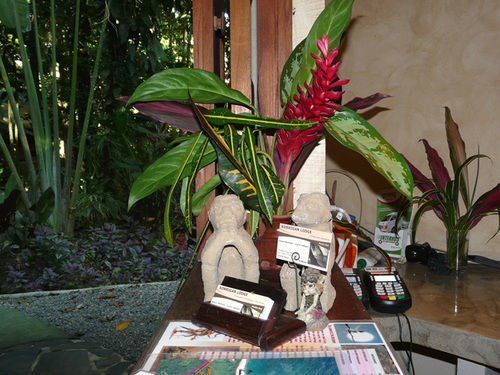 Korrigan Lodge Cahuita Kültér fotó